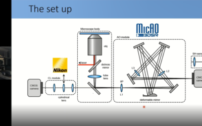 (Re)Watch Webinar for Microscopy #2 – Adaptive Optics in SMLM for deep tissue imaging