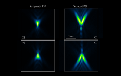 Z-range extension with complex PSF in 3D SMLM using Adaptive Optics