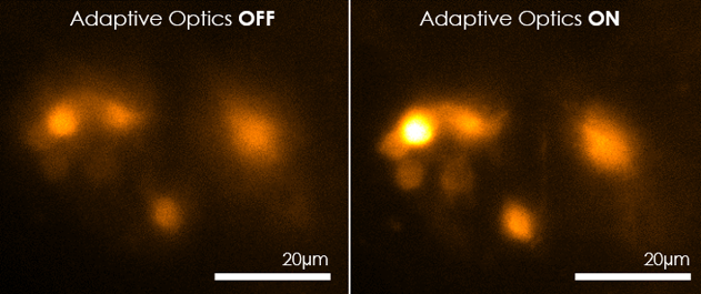 Breakthrough in wavefront sensing for microscopy