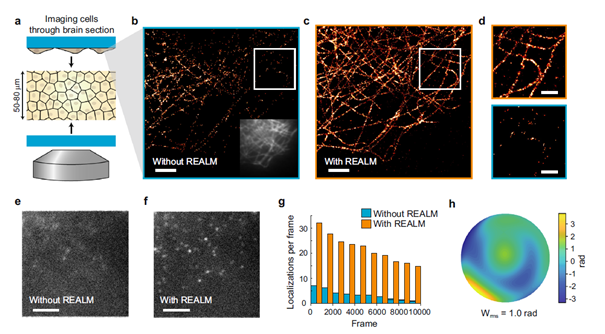 REALM, aberration correction for PALM/STORM microscopy - webinar