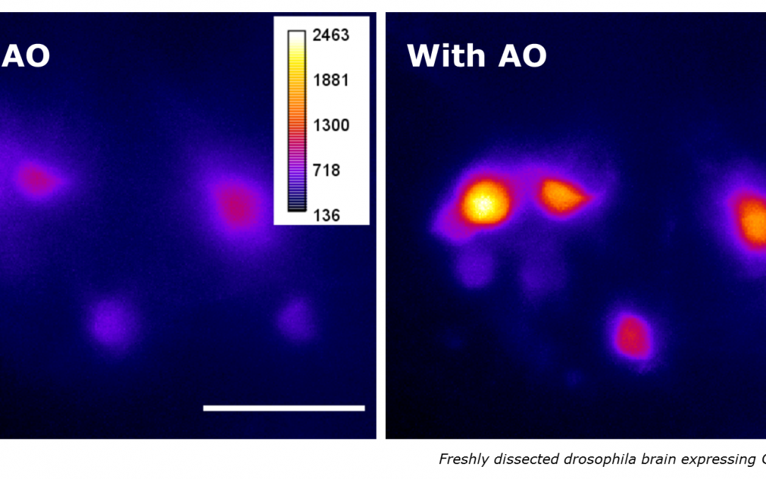 adaptive optics system for light-sheet microscopy