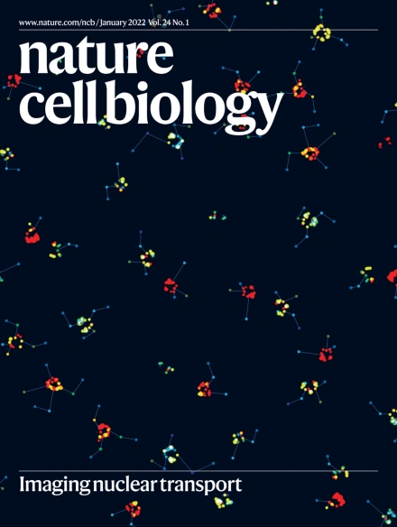 Nuclear pore complex imaging using adaptive optics