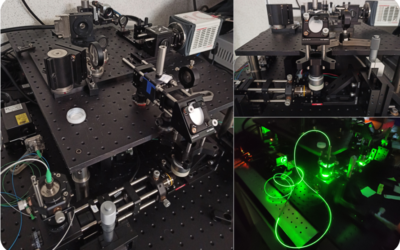 Building a fast adaptive optics light-sheet microscope: first light !