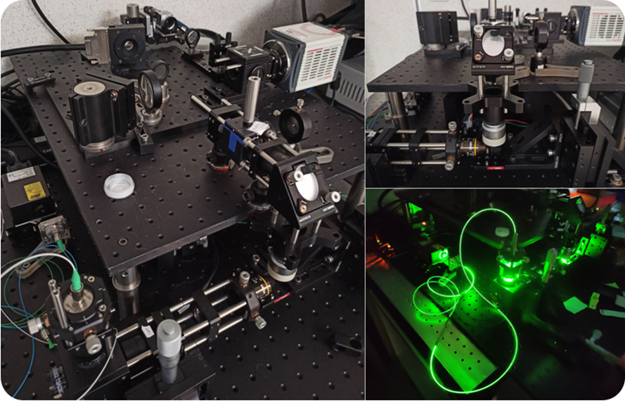 Building a fast adaptive optics light-sheet microscope: first light !