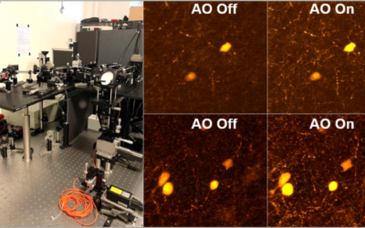 One more prototype of a microscope with adaptive optics: this time for 2-photons!