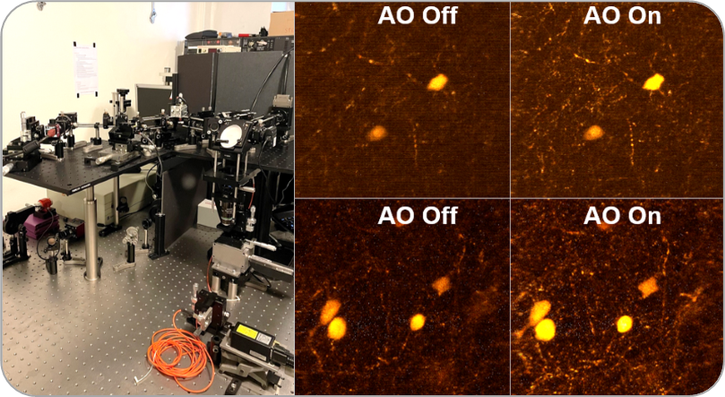 One more prototype of a microscope with adaptive optics: this time for 2-photons!