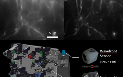 Lattice Light-Sheet with Adaptive Optics: precise and robust aberration correction in thick samples.