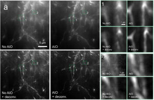 Effect of Wavefront Distortion in Non-Kolmogorov Turbulence on the Performance of Multi-Beam Transmission Coherent Detection