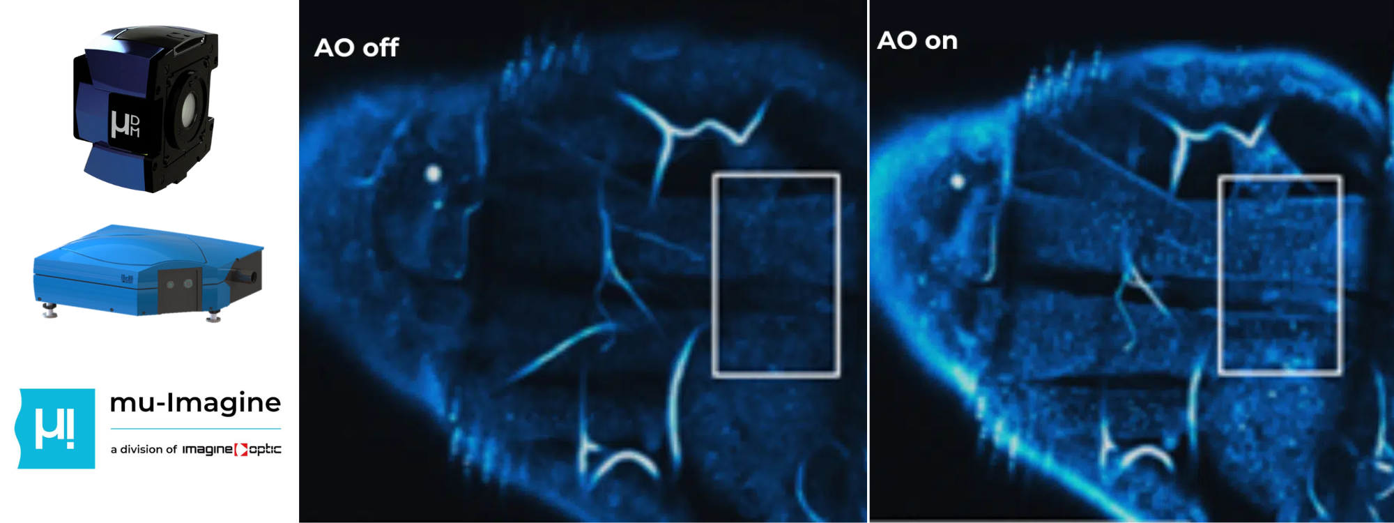 mu-Imagine Bioimaging